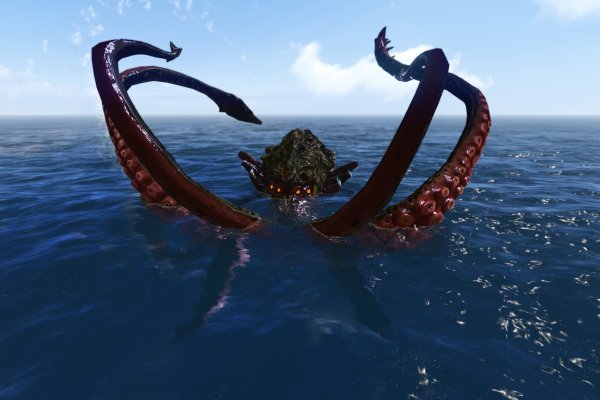 Kraken online